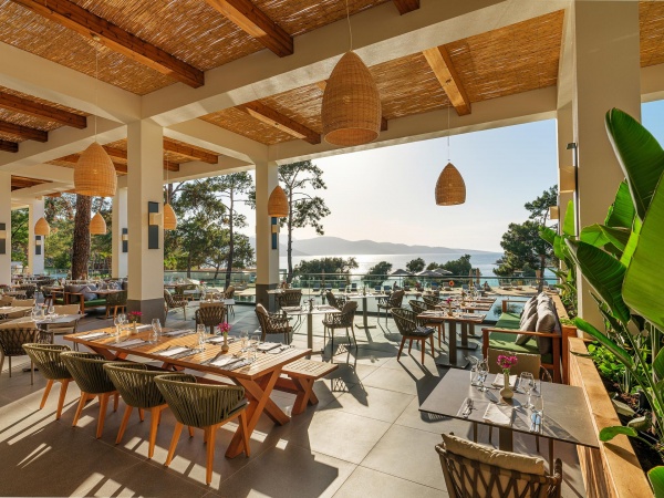 Turquoise Restoran