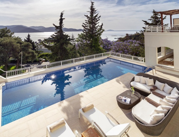 Superior Villa